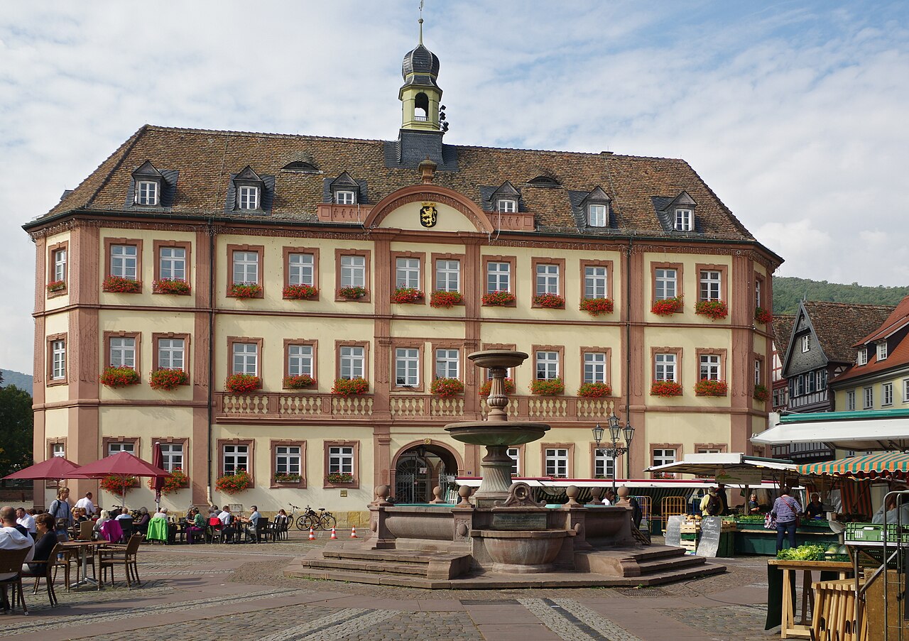 Stadtansicht von Neustadt an der Weinstraße